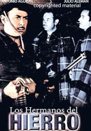 Los Hermanos del Hierro poster image