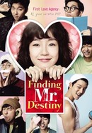 Finding Mr. Destiny poster image