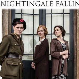A Nightingale Falling photo 5
