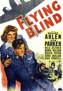Flying Blind poster image