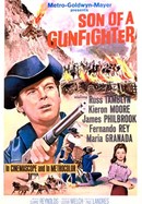 Son of a Gunfighter poster image