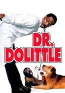 Dr. Dolittle poster image