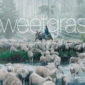 "Sweetgrass photo 12"