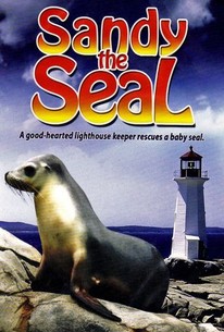 Watch trailer for Sandy the Seal