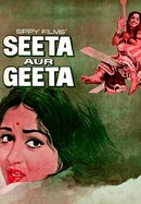 Seeta Aur Geeta poster image