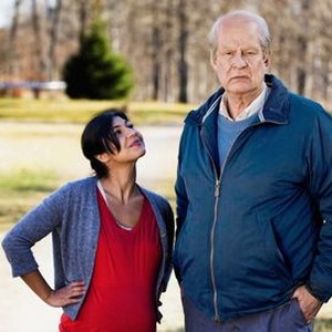 A Man Called Ove (2015)