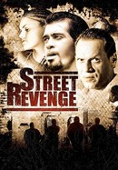Street Revenge poster image