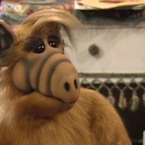 ALF: Season 3, Episode 25 - Rotten Tomatoes