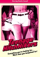 Teenage Hitchhikers poster image