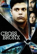 Cross Bronx poster image