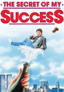 The Secret of My Success poster image