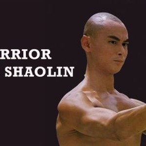"Warrior From Shaolin photo 8"
