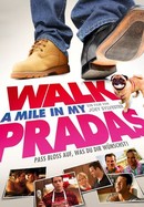 Walk a Mile in My Pradas poster image