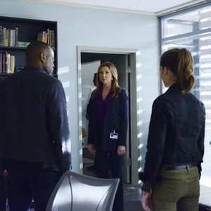 Resurrection, Donna Murphy, 'Aftermath', Season 2, Ep. #9, 12/07/2014, ©ABC