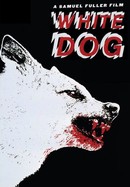 White Dog poster image