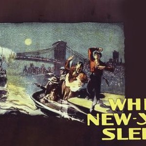 While New York Sleeps photo 8