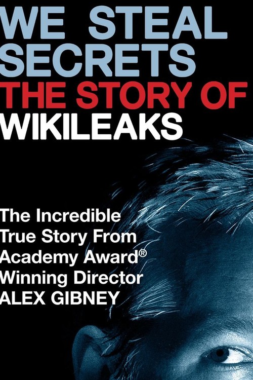 We Steal Secrets: The Story of WikiLeaks poster