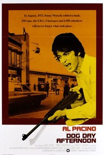 Watch trailer for Dog Day Afternoon