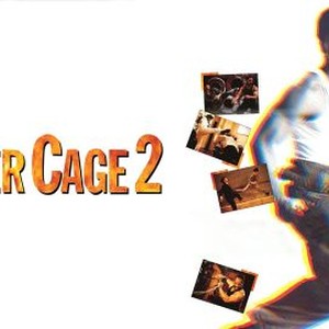 Tiger Cage 2 photo 4