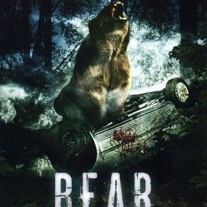 Bear photo 7