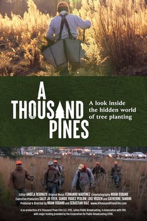 A Thousand Pines poster