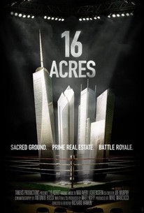 16 Acres poster