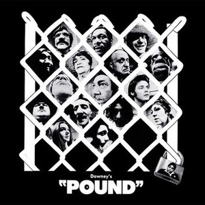 Pound photo 1