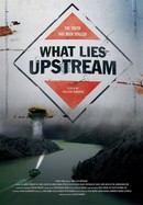 What Lies Upstream poster image