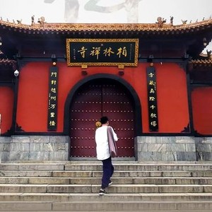 7 Days in Bailin Temple photo 16