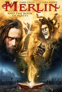 Poster for Merlin and the Book of Beasts