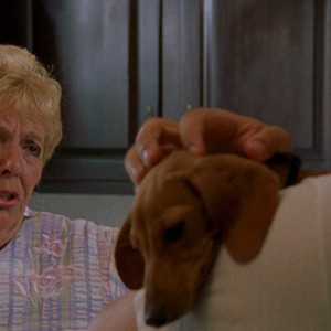 A scene from the movie "Chooch." photo 12