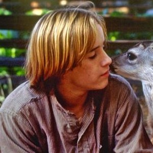 The Yearling (1994) photo 8