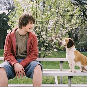 A scene from the film "Underdog."