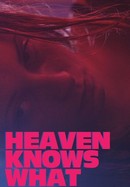 Heaven Knows What poster image