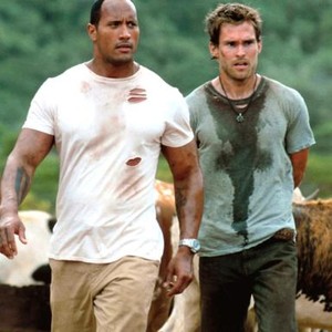 Seann William Scott Body