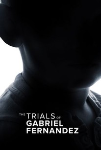 The Trials of Gabriel Fernandez: Limited Series poster image