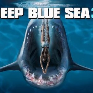 Big Blue Pick 'Em Week 8 - A Sea Of Blue