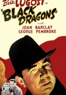 Black Dragons poster image