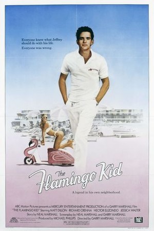 The Flamingo Kid poster