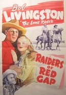 Raiders of Red Gap poster image