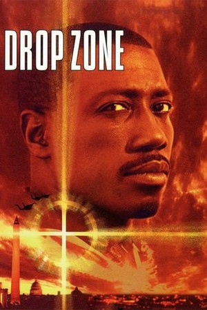 Drop Zone poster