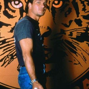 Tiger Warsaw Rotten Tomatoes