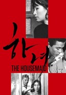 The Housemaid poster image