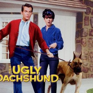 The Ugly Dachshund photo 1