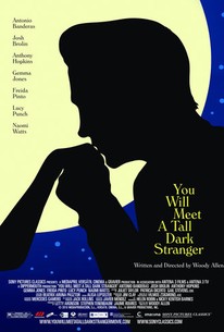 2010 You Will Meet A Tall Dark Stranger