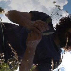 Stringless Puppets - Rotten Tomatoes