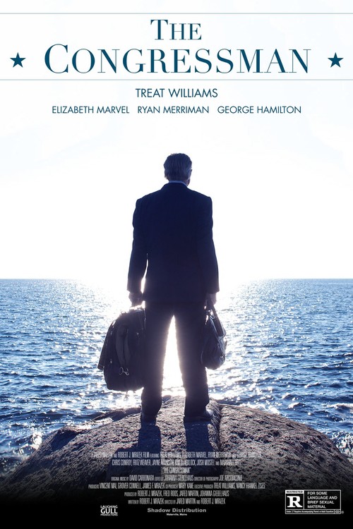 The Congressman poster
