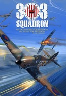 Squadron 303 poster image