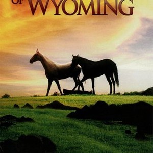 Green Grass of Wyoming photo 11