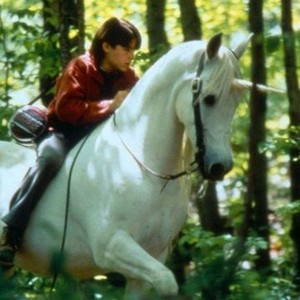 Nico the Unicorn (1998) photo 9